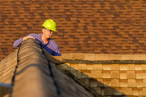Best Gutter Installation and Roofing  in Hilbert, WI