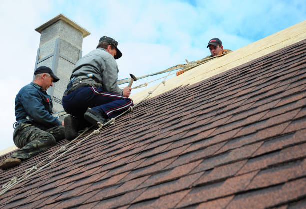 Best Shingle Roofing Installation  in Hilbert, WI