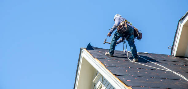 Best Roof Waterproofing Services  in Hilbert, WI